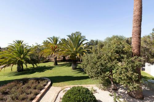 Apartamento Palmeiras Cottages