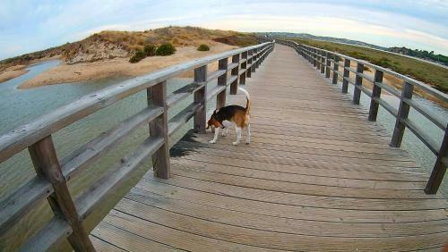 Lovely Apartment Alvor