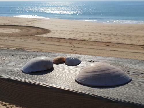 Apartamento Algarve Beachfront Alvor