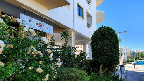 Apartamento Dunas 142