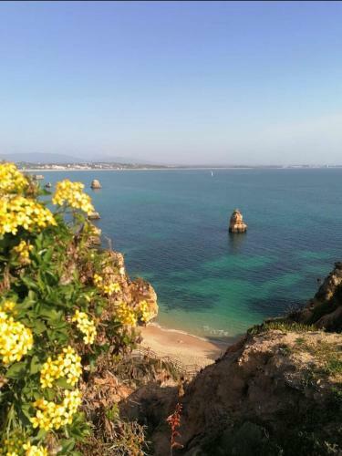 Apartamento Appartement Alvor : Algarve 116458/al