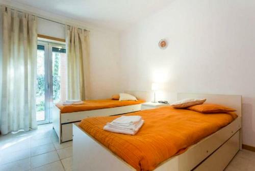 Palm Village Apartments