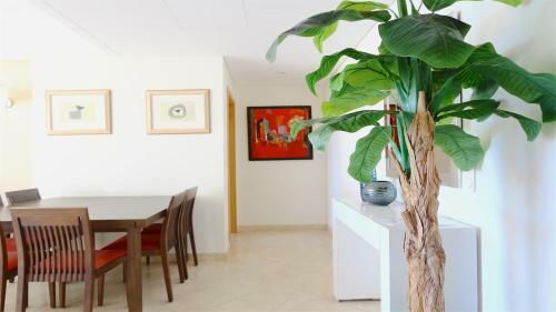 Apartamento Aquamar Sea View - Clever Details