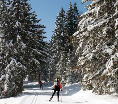 Apartamentos Charmant Studio Cabine Cosy � 100 M Des Pistes