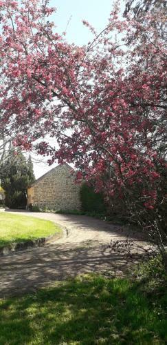 Hostal Chambres D'h�tes La Maison D'apr�s