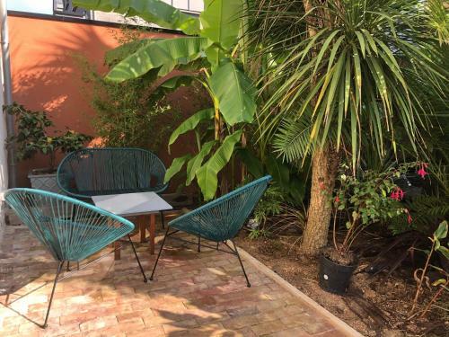 La Petite Maison Dans La Jungle