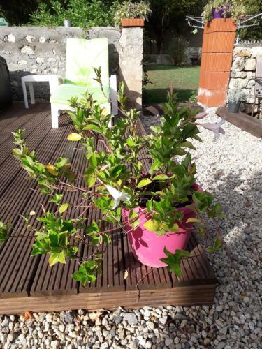Bed & Breakfast Les Tilleuls