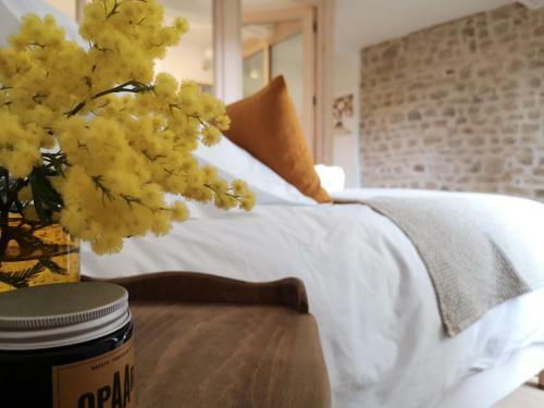 Bed & Breakfast Tomette Singuli�re