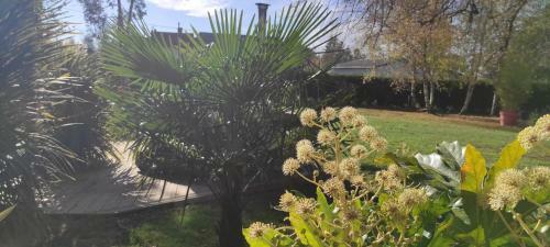 Apartamento Appartement Duplex Avec Spa Priv� Ania