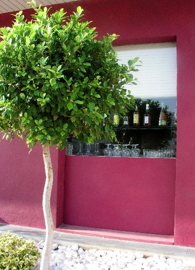 El Hotel Pacha