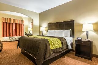 Hotel Comfort Inn & Suites Scott