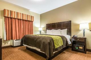 Hotel Comfort Inn & Suites Scott