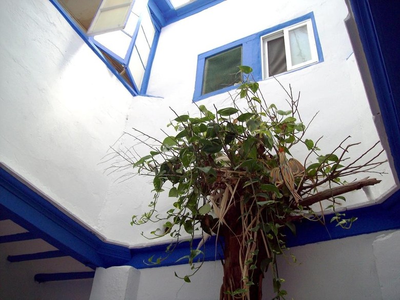 Bed & Breakfast De Cadiz Cadi Hostel