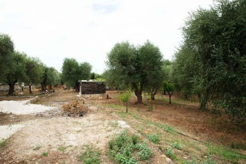 Villa Giov� Con Piscina