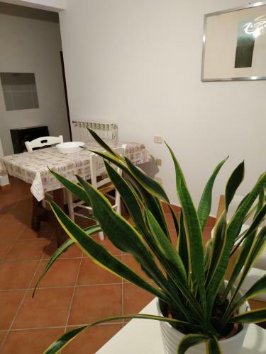 Apartamento Il Giglio Appartamenti