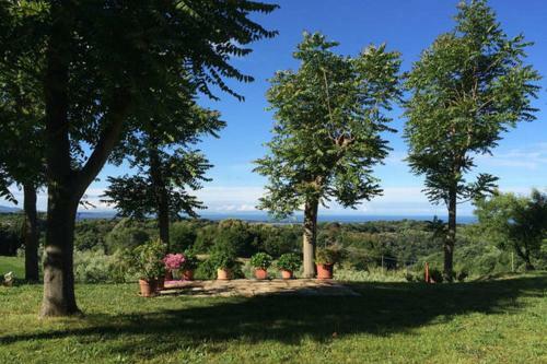 Il Pietraio, Antico Podere In Toscana