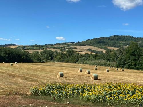 Apartamento Locazione Turistica Olea
