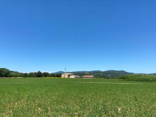 Apartamento Locazione Turistica Olea