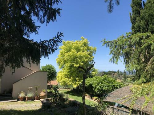 Apartamento Toscana Tour - Haus Malerin Mit Meerblick