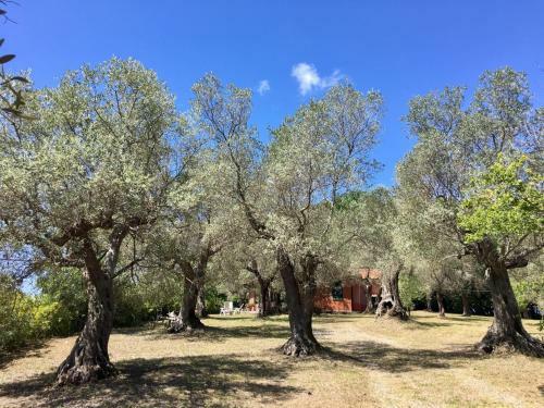 Toscana Tour - Cottage Gaia With Sea View