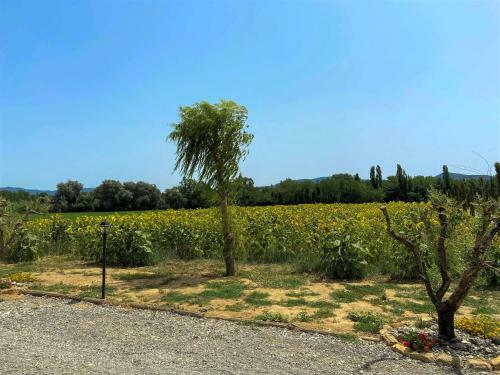 Apartamento Locazione Turistica Amor