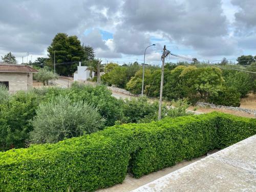 Villa Marta- Puglia Mia Apartments