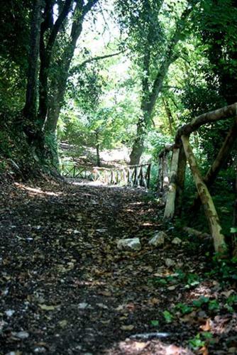 Agroturismo Agriturismo Parcodainonni