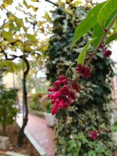 Apartamento In Vacanza A Itri - Casa Ileana
