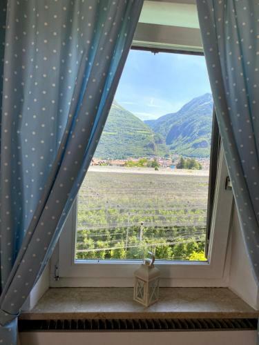 Apartamento Hirschenhof