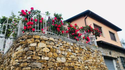 Villa Anna Regione Bussi 57 Imperia