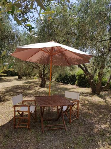 Hostal La Vert Olive