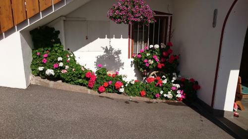 Agroturismo Zehentnerhof