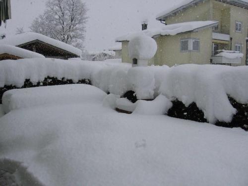Apartamento Ferienwohnung Sonnenwiese