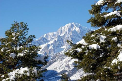 Apartamento Appartamento Monte Bianco