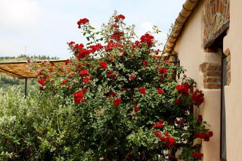 Agroturismo Poggio Pozzetti