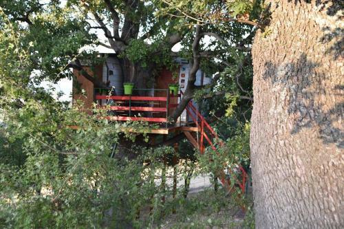 Casa Sull'albero
