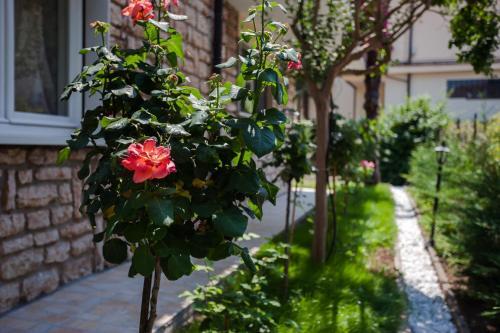 Apartamento Villa Maxikris