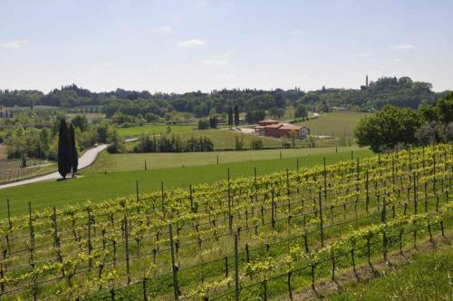 Apartment In Lazise - Gardasee 38604