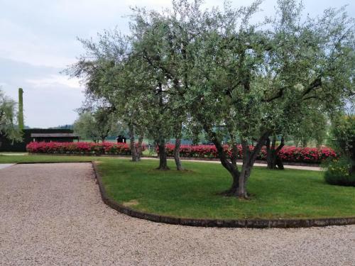 Apartamento Agriturismo Le Ginestre