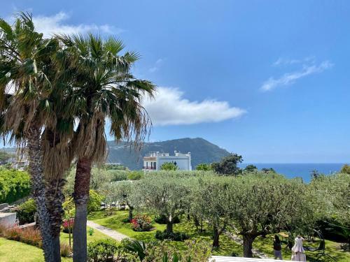 Apartamento Forio D'ischia: Appartamento Vicino Al Mare