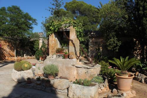 Agroturismo Finca Son Pieras