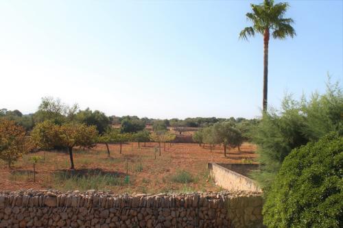 Agroturismo Finca Son Pieras