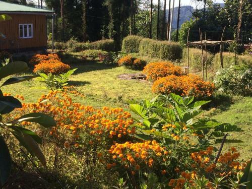 Dilpali Home Cum Farm Stay