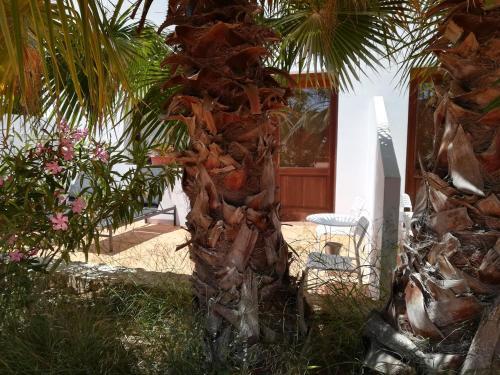 Es Pas Formentera Agroturismo