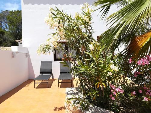 Es Pas Formentera Agroturismo