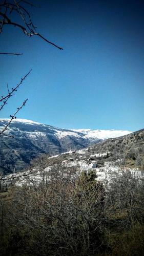 Apartamentos Casalpujarra
