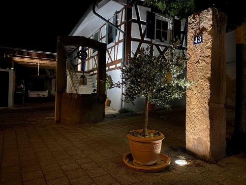 Apartamento Traumhaft Wohnen Im Haus Blum