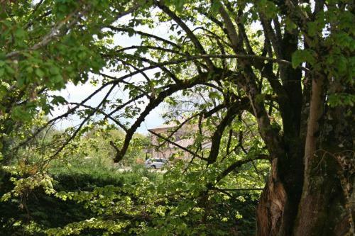 Bed & Breakfast Bonabri Vacances - Chambres D'h�tes