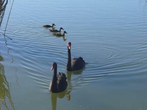 Apartamento Flamingo