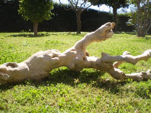 Apartamento Casa Da Marion